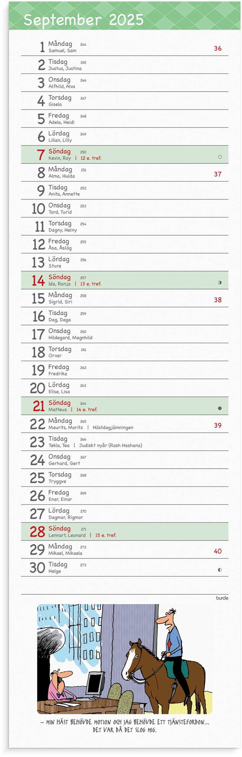 Kalender 2025 Stor Bordskalender Humor