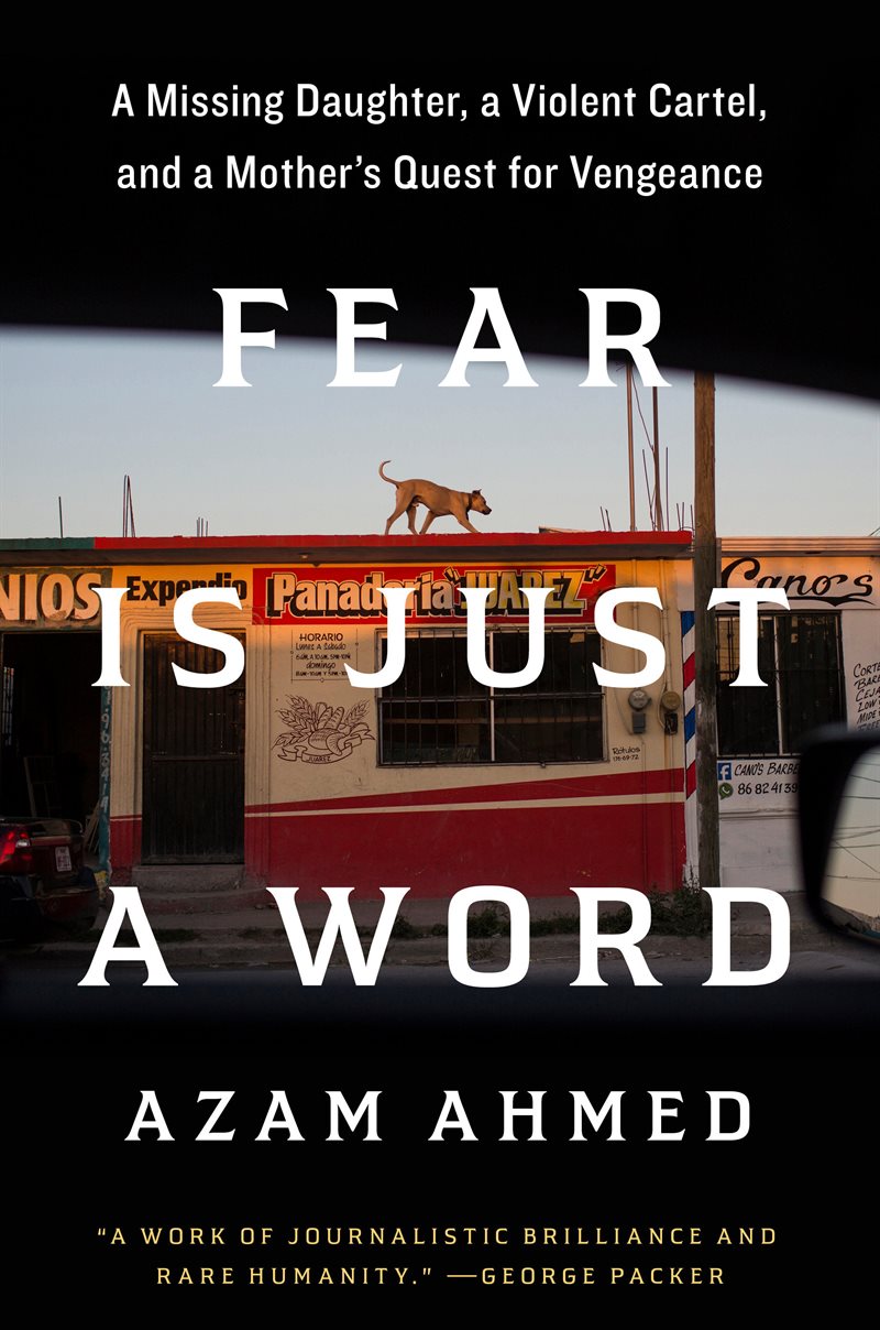 Fear Is Just a Word: A Missing Daughter, a Violent Cartel, and a Mother