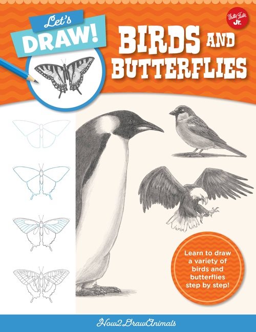 Lets Draw Birds  Butterflies