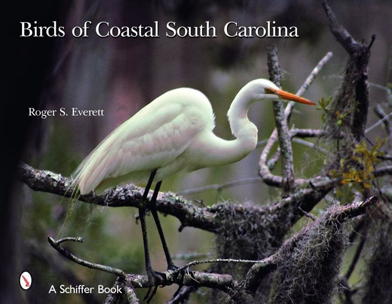 Birds Of Coastal South Carolina