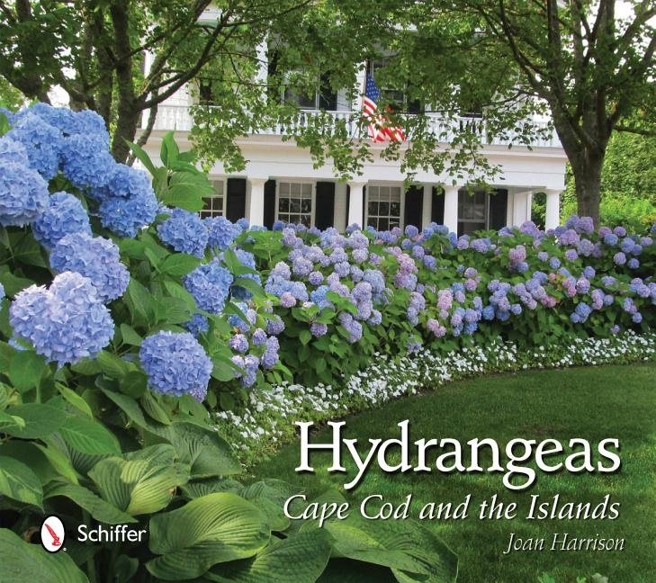 Hydrangeas : Cape Cod and the Islands