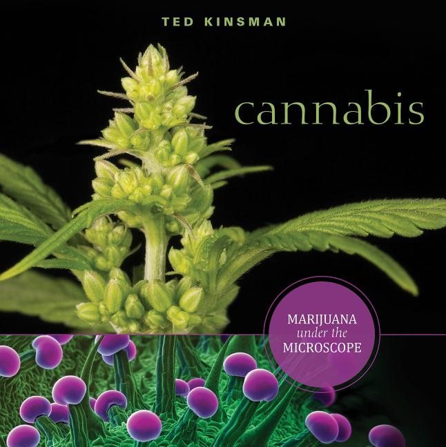 Cannabis - marijuana under the microscope