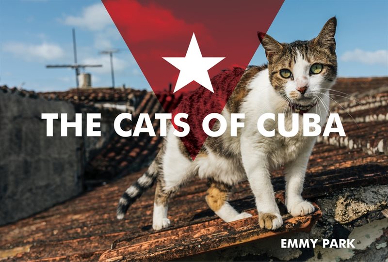 The Cats Of Cuba