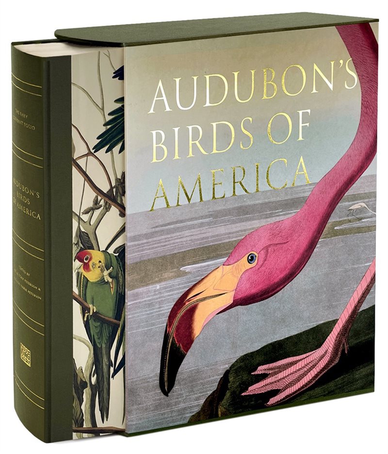 Audubon’s Birds Of America : Baby Elephant Folio