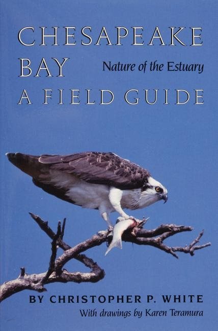Chesapeake bay nature of the estuary - a field guide