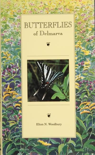 Butterflies Of Delmarva