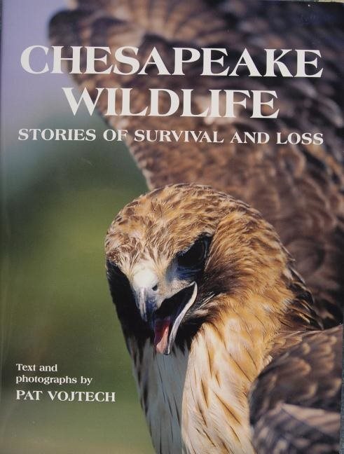 Chesapeake Wildlife : Stories of Survival and Loss