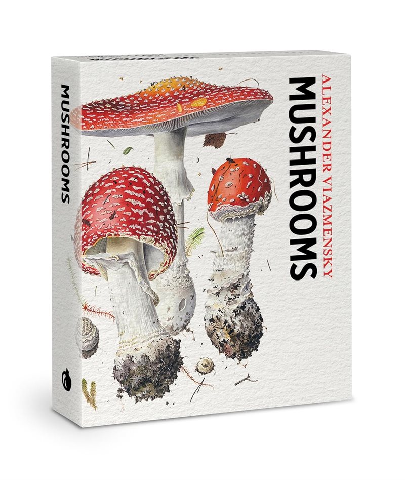 Mushrooms Knowledge Cards