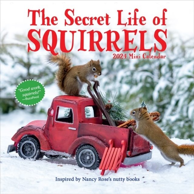 Secret Life of Squirrels Mini Calendar 2024