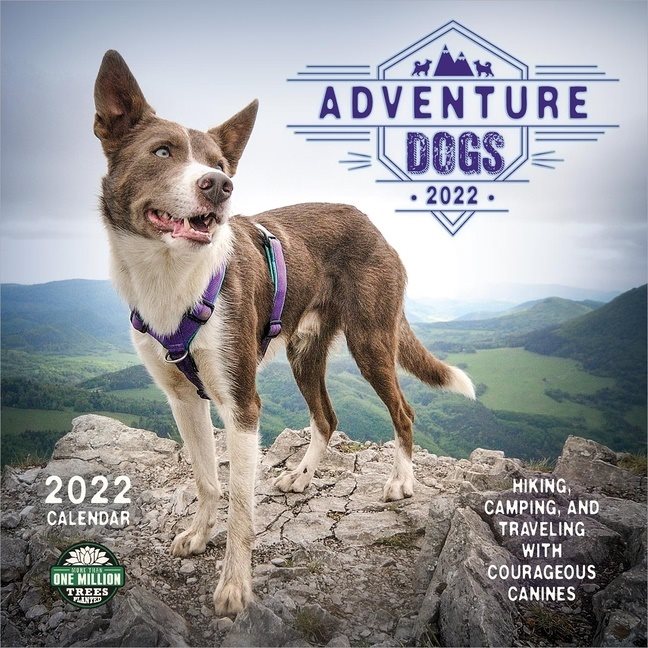 Adventure Dogs Calendar 2022