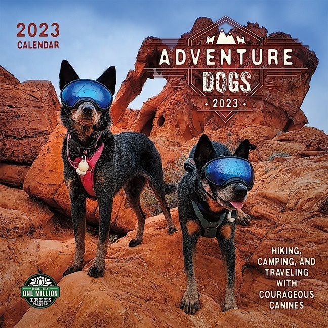 Adventure Dogs Calendar 2023