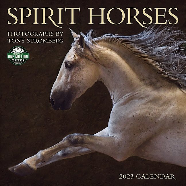 Spirit Horses 2023 Calendar : Photographs by Tony Stromberg