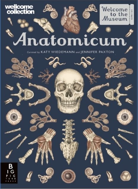 Anatomicum