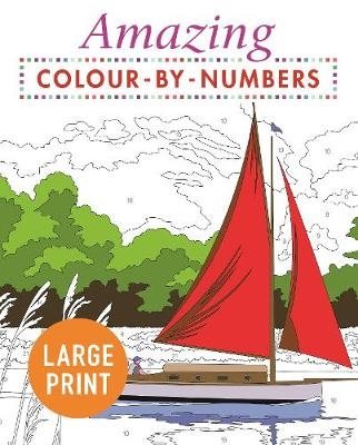 Amazing Colour-by-Numbers Large Print