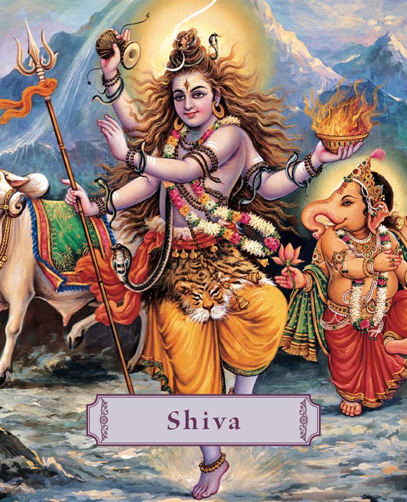 Shiva: Lord Of The Dance (Pocket-Sized) (H)