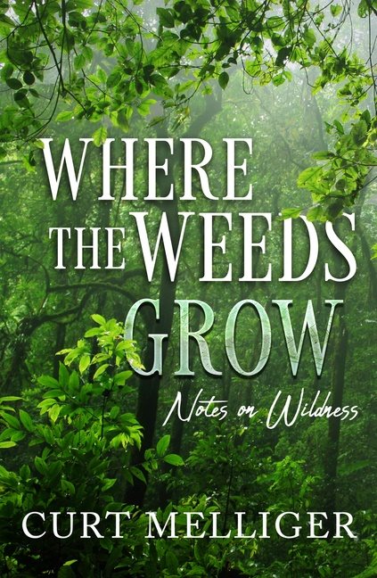 Where The Weeds Grow : Notes on Wildness