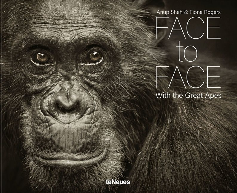 Face To Face : With the Great Apes
