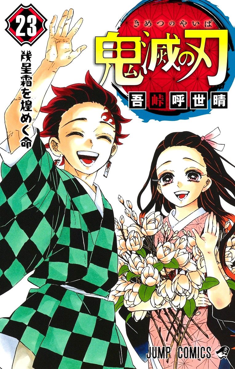 Demon Slayer: Kimetsu no Yaiba 23 (Japanese)