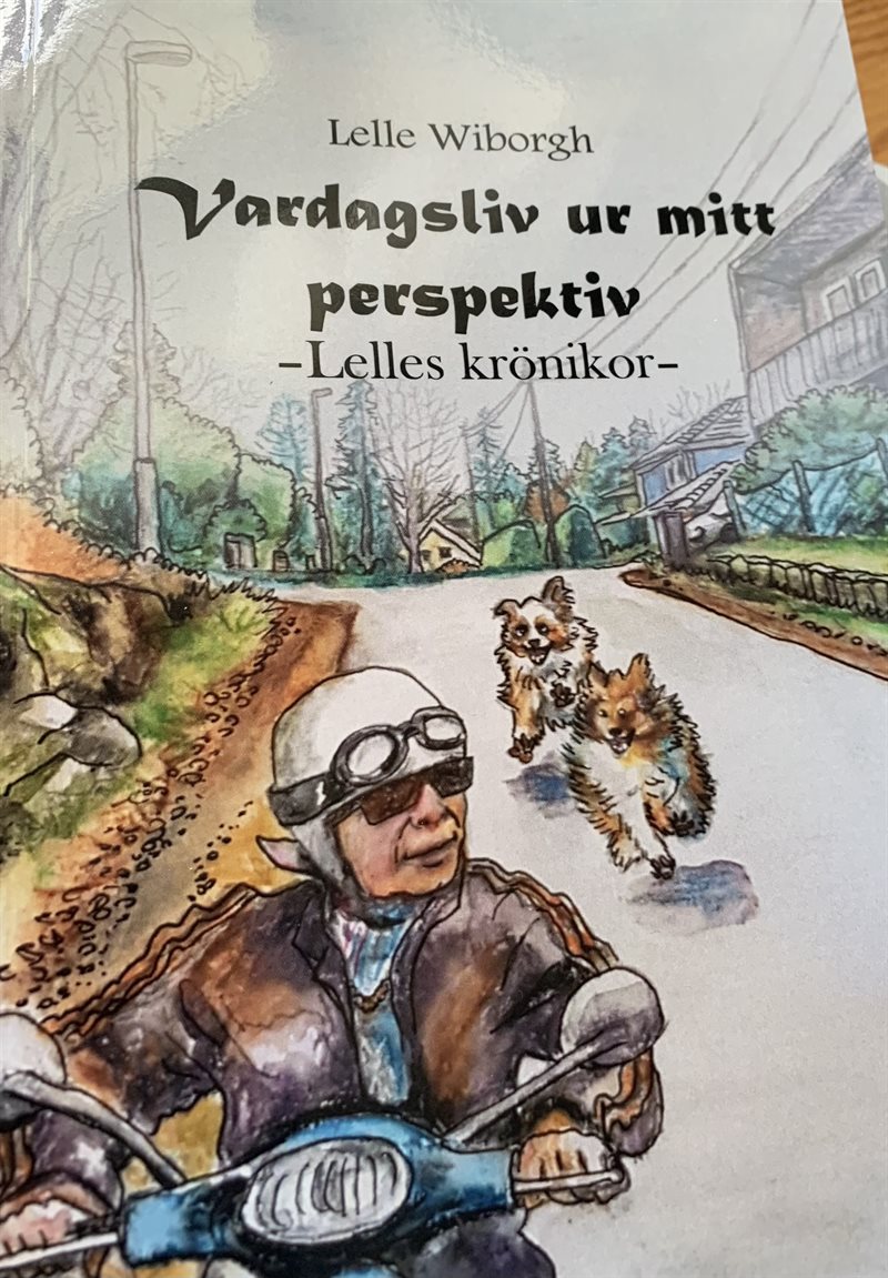 Vardagsliv ur mitt perspektiv : Lelles krönikor