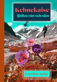 Kebnekaise : fjällen rätt och slätt