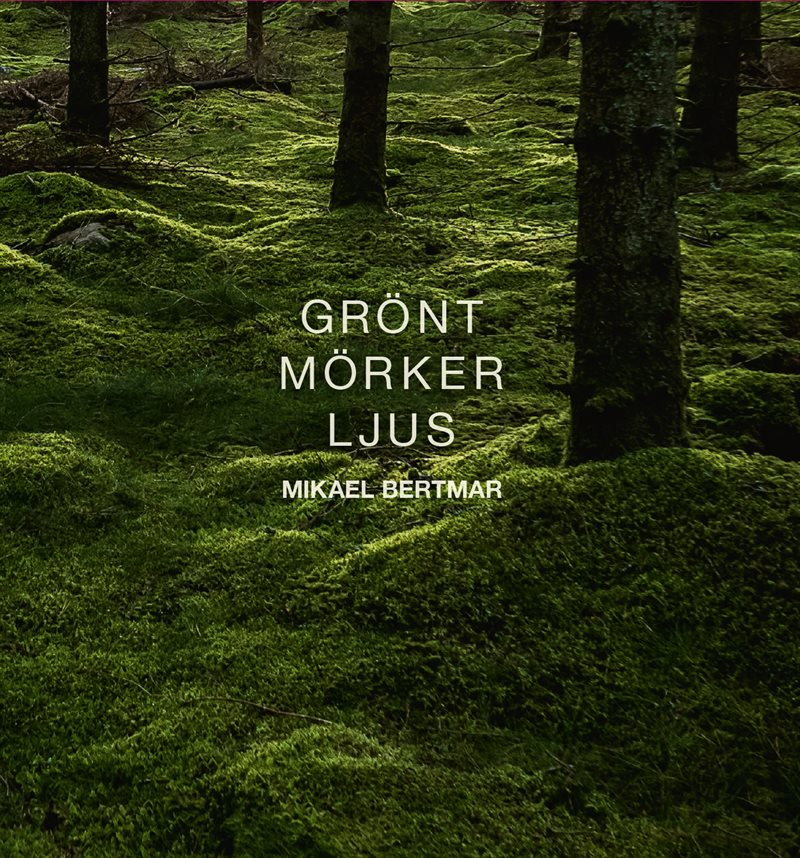 Grönt mörker ljus