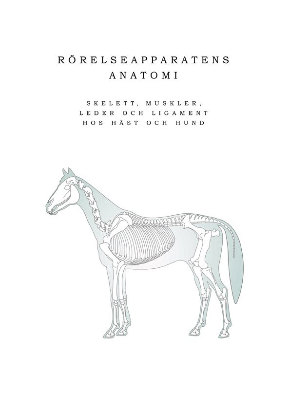Rörelseapparatens anatomi :  skelett, muskler, leder och ligament hos häst och hund