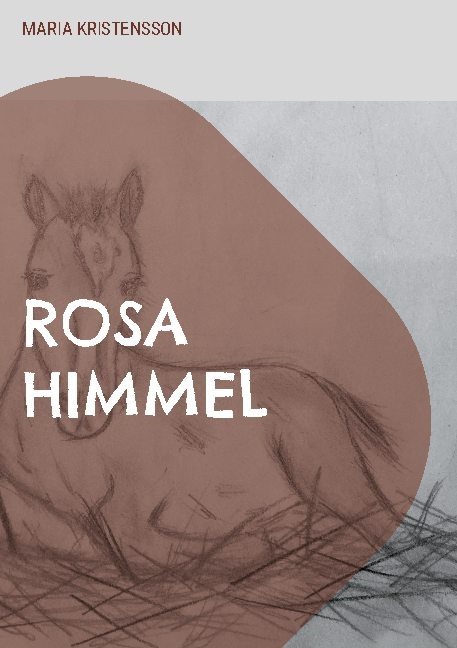 Rosa himmel : en berättelse om en pojkes hjälteinsats