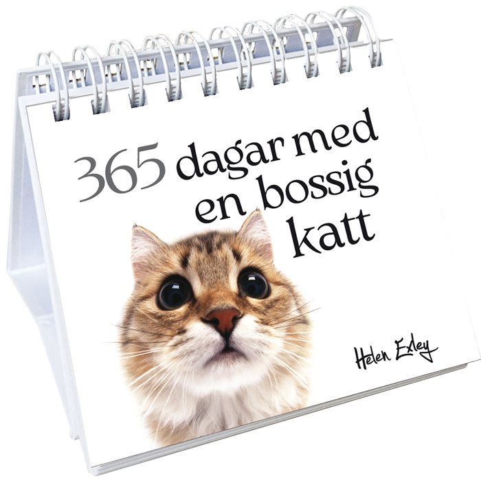 365 dagar med en bossig katt