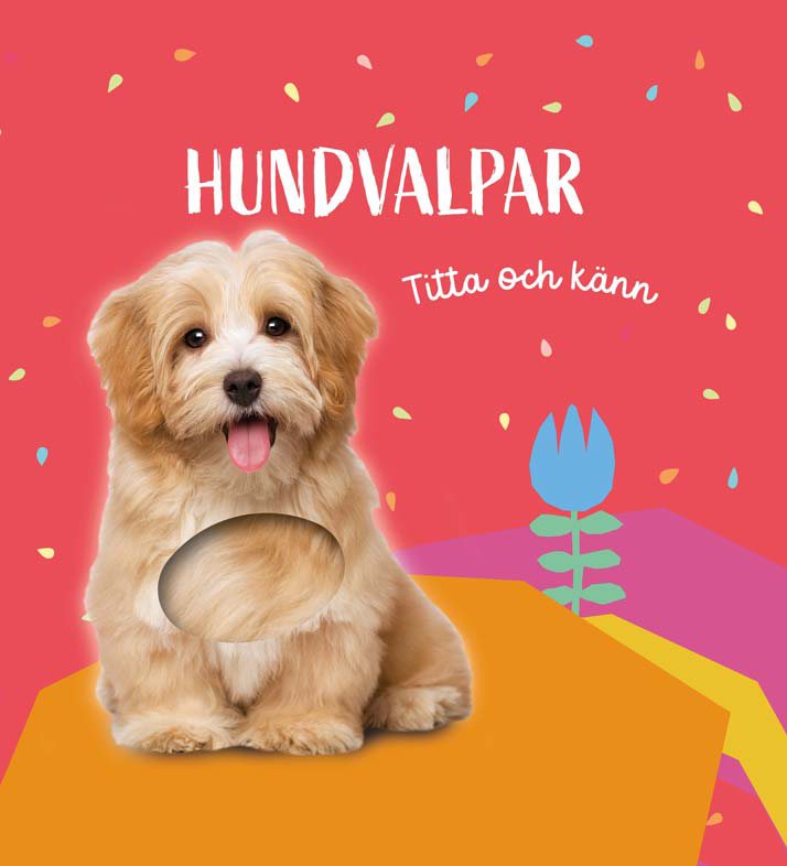 Titta och känn. Hundvalpar