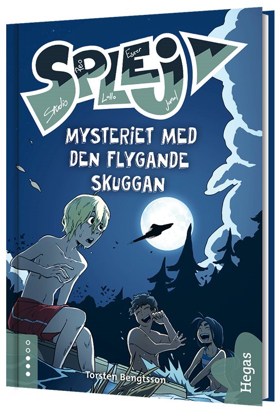 Mysteriet med den flygande skuggan
