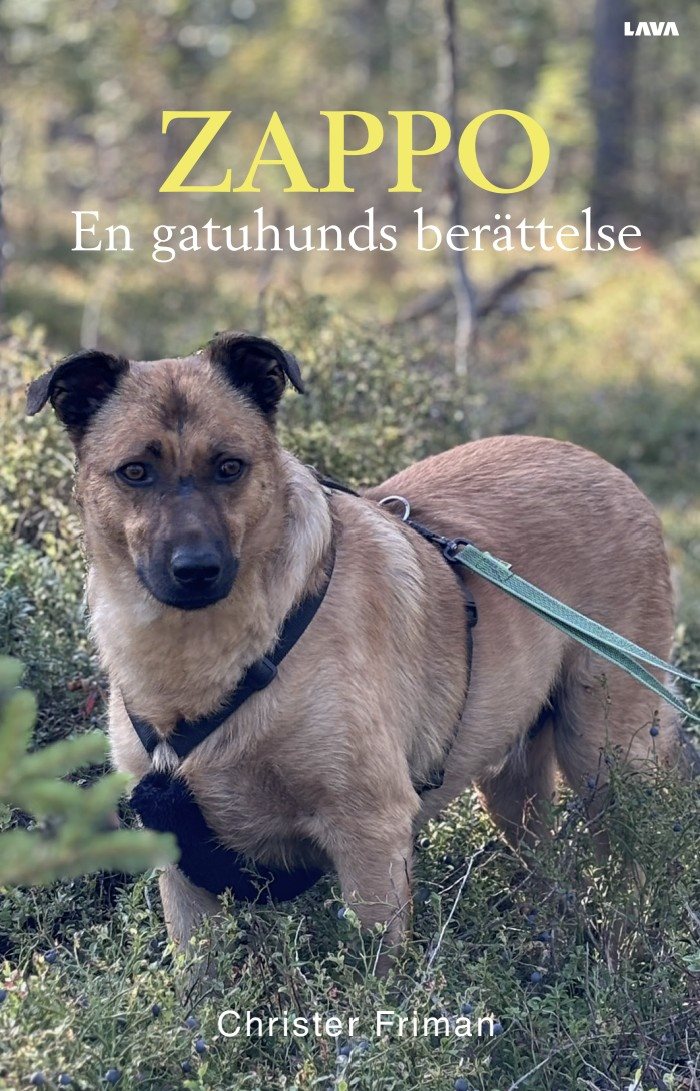 Zappo : en gatuhunds berättelse