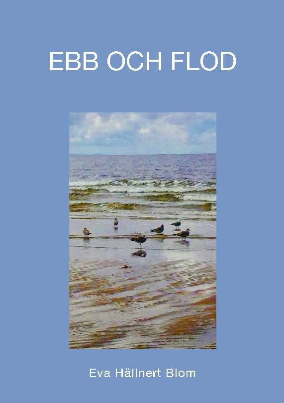 Ebb och flod : en livsresa med existentiella tankegångar