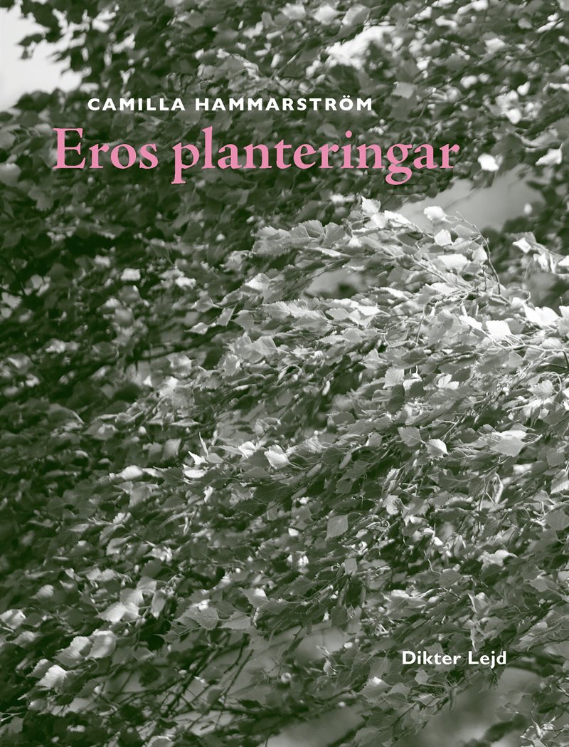 Eros planteringar