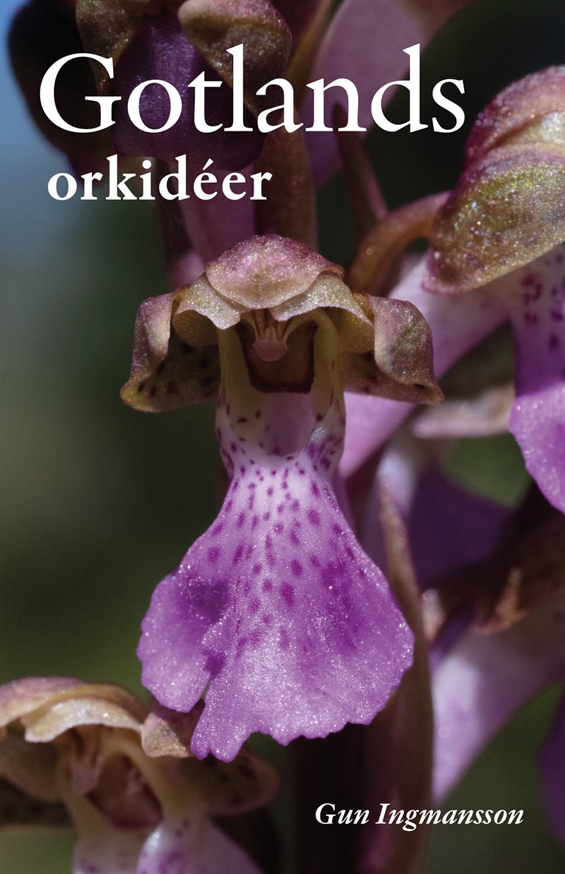 Gotlands orkidéer