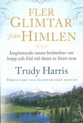 Fler glimtar från himlen : inspirerande sanna berättelser om hopp och frid vid slutet av livets resa