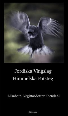 Jordiska vingslag Himmelska fotsteg