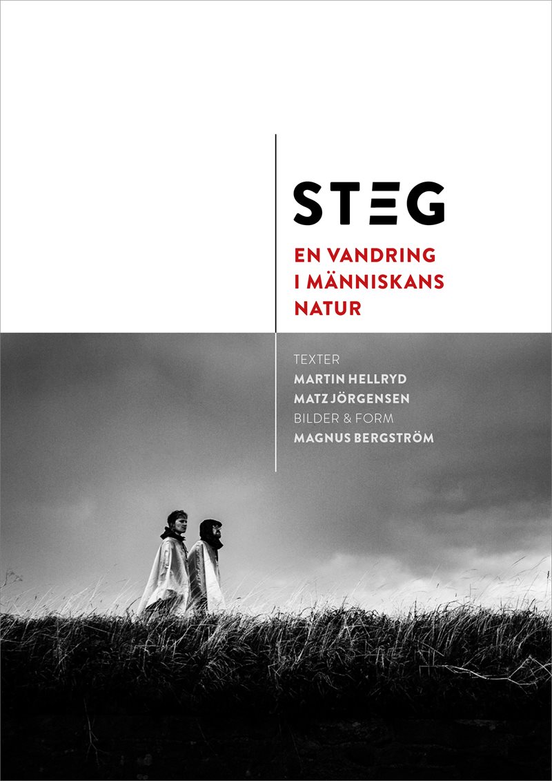 Steg : en vandring i människans natur