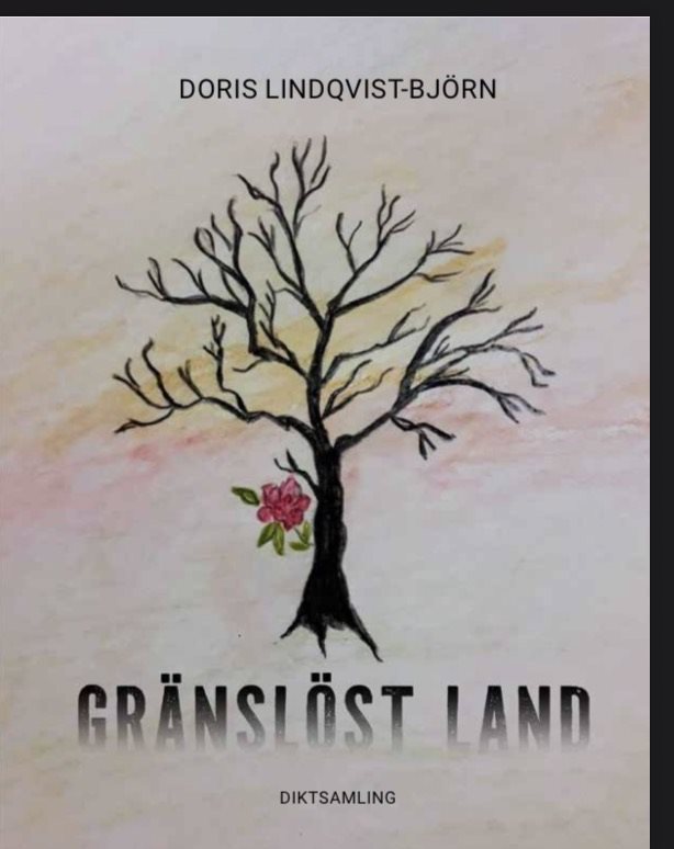 Gränslöst land