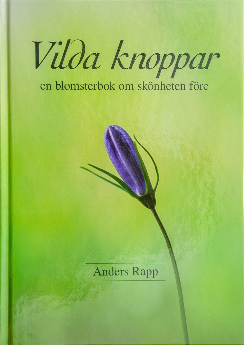 Vilda knoppar : en blomsterbok om skönheten före