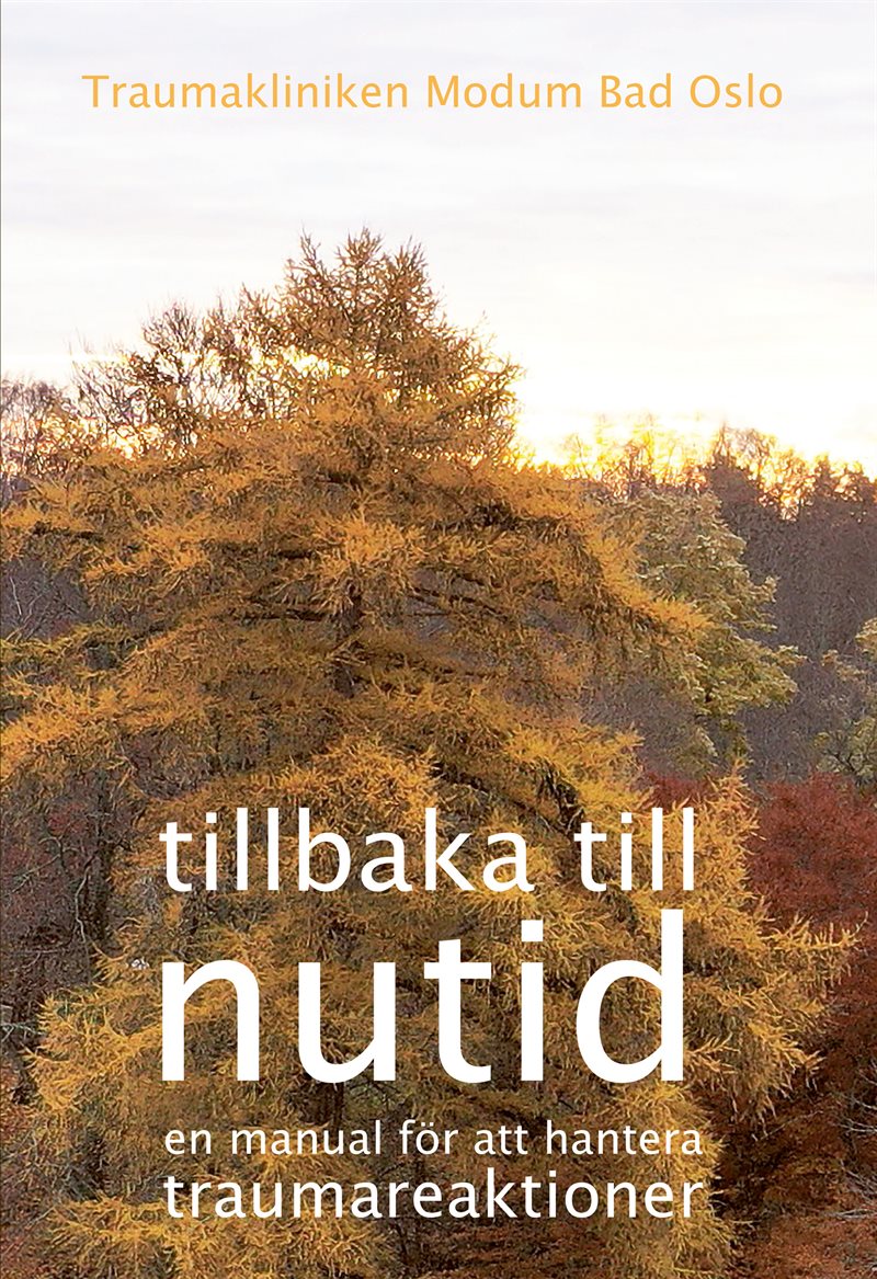 Tillbaka till nutid