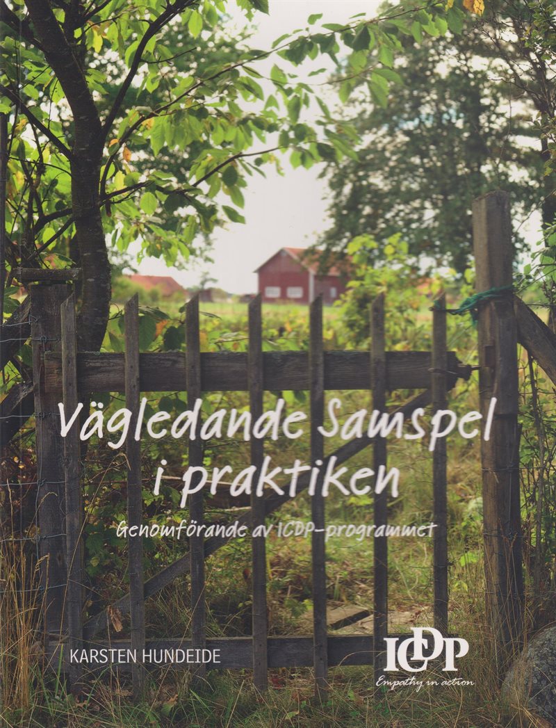 Vägledande samspel i praktiken