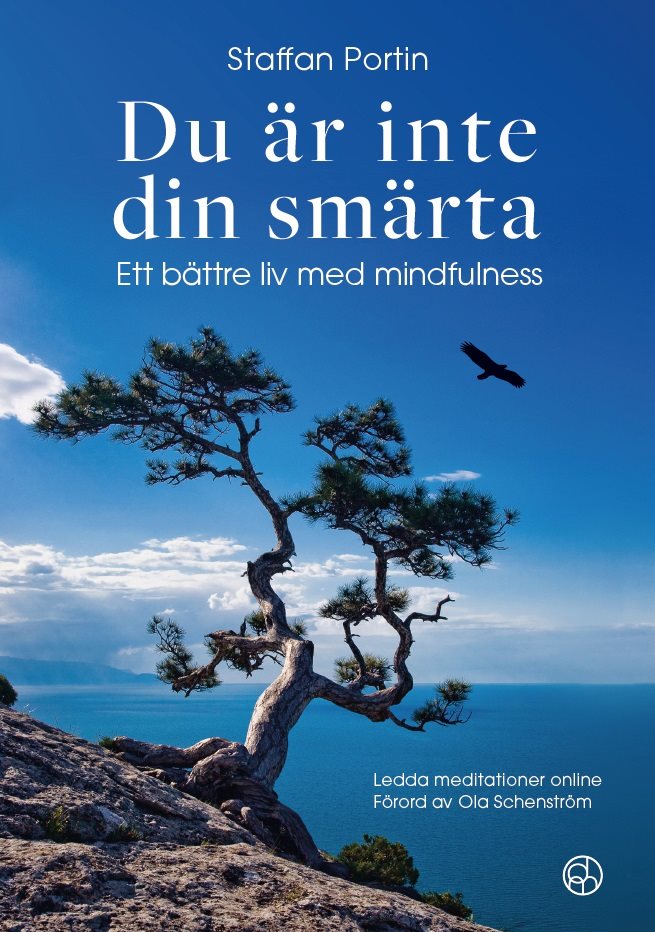 Du är inte din smärta : Ett bättre liv med mindfulness