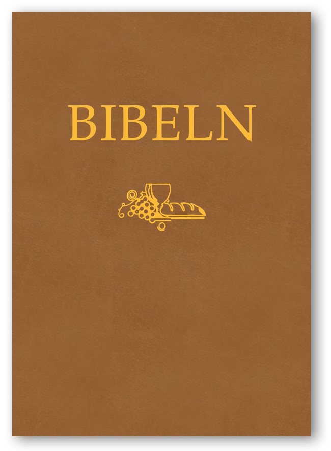 Bibeln SFB 2015, kompakt, brun skinnimitation