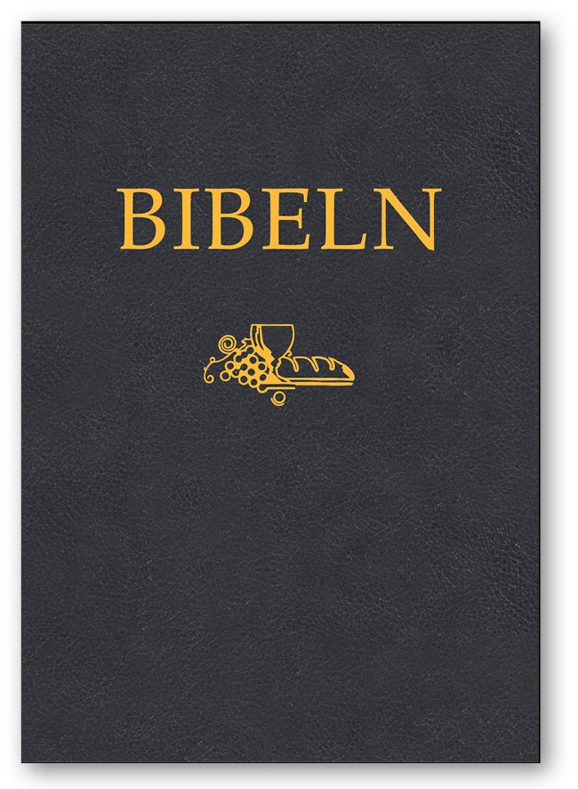 Bibeln SFB 2015, kompakt, svart cabraskinn
