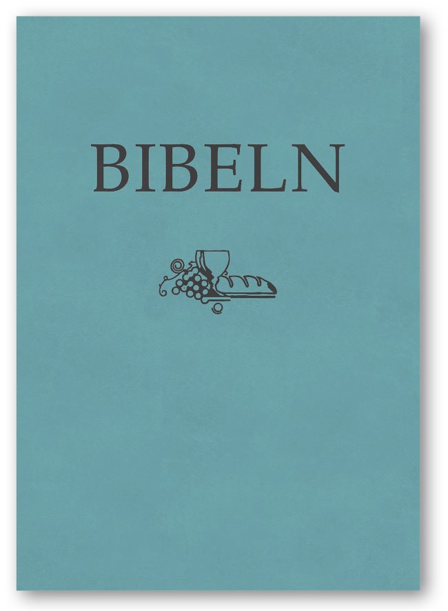 Bibeln SFB 2015, kompakt, turkos skinnimitation
