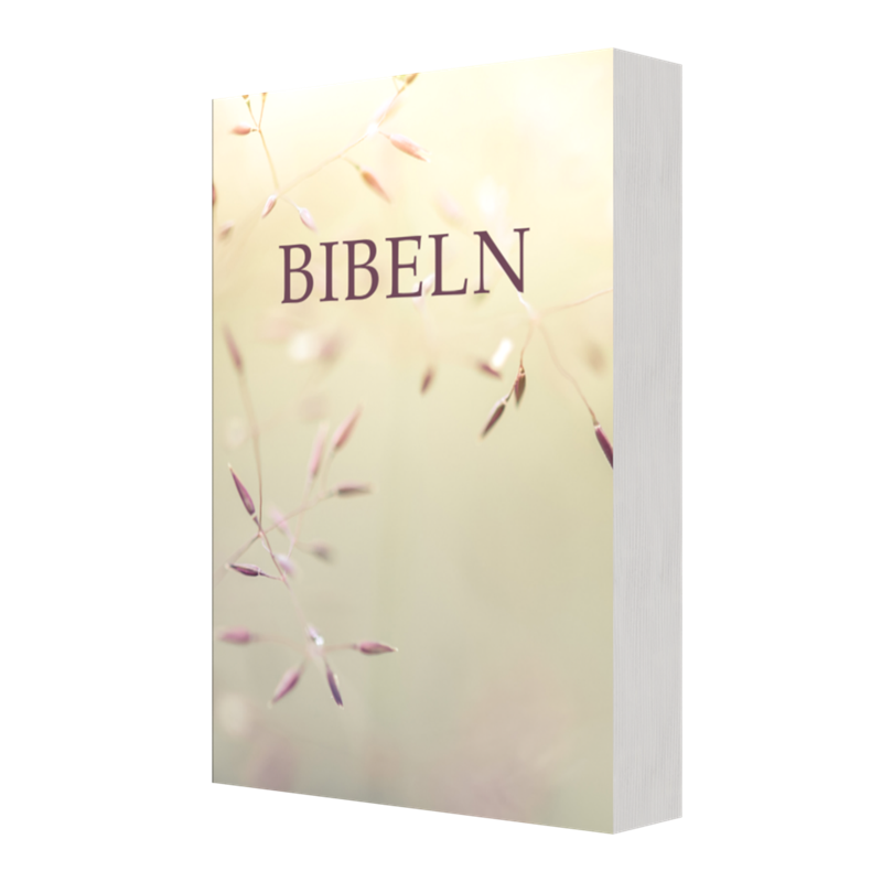 Bibeln SFB 2015, kompakt pocket, Äng