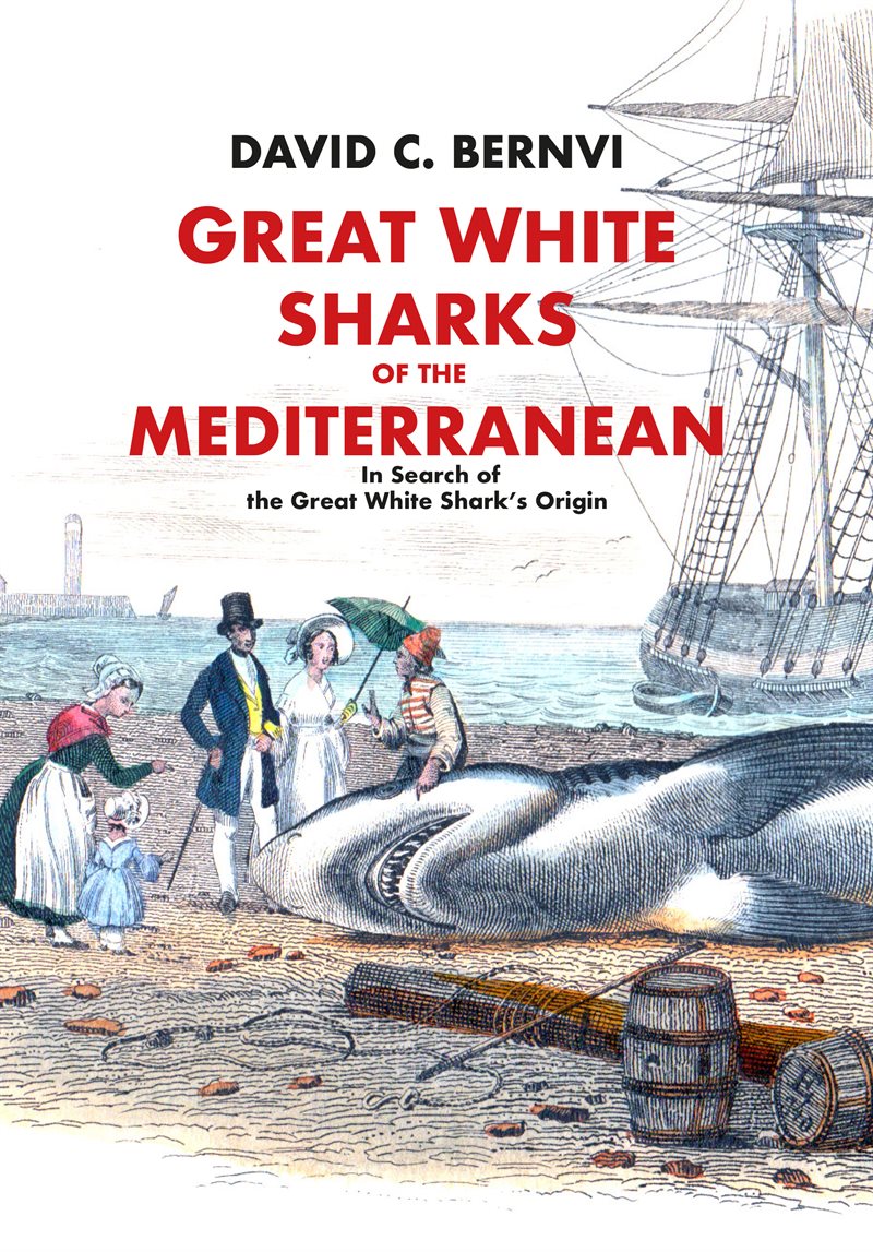 Great white sharks of the Mediterranean : in search of the great white shark