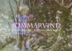 Sommarvind