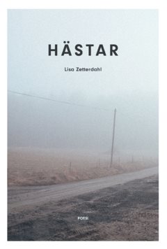 Hästar