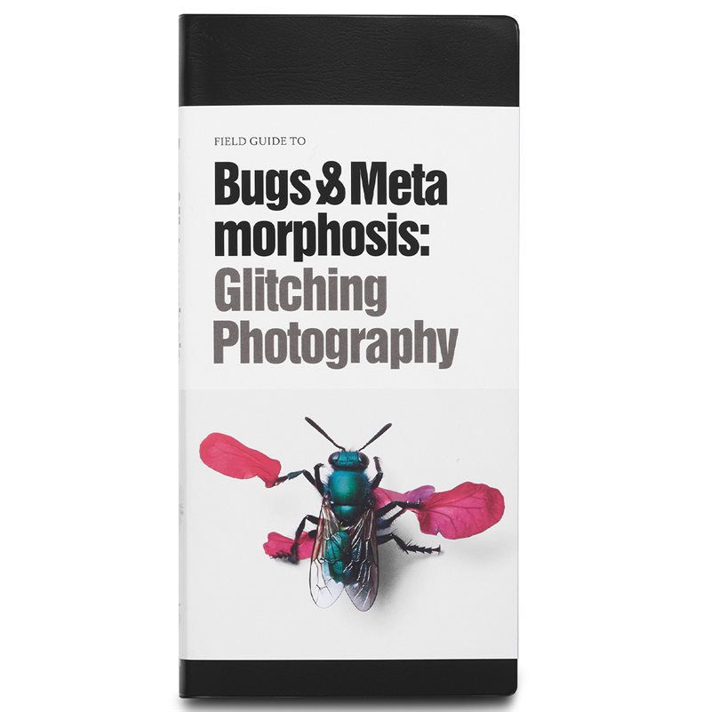 Field guide to bugs & metamorphosis : glitching photography